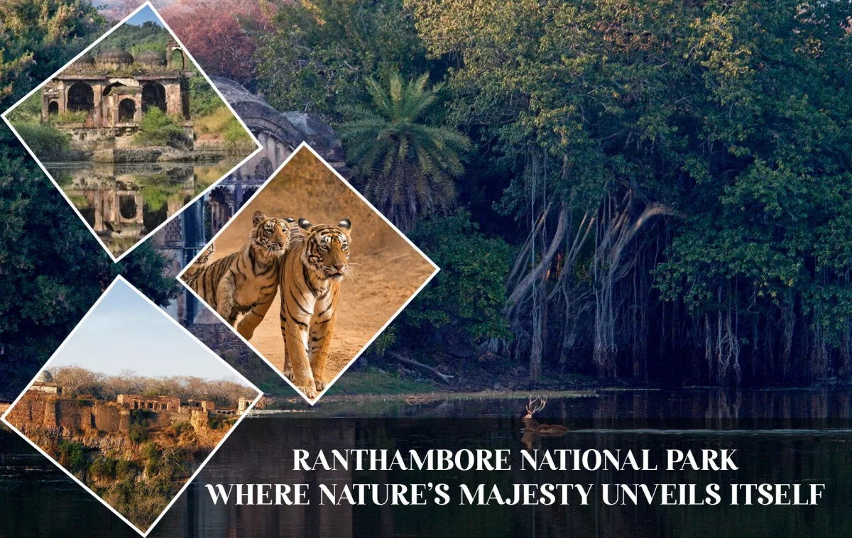 Ranthambore National Park: Where Nature’s Majesty Unveils Itself